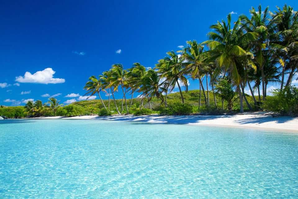 caribbean yacht charter sailing holiday destinations martinique